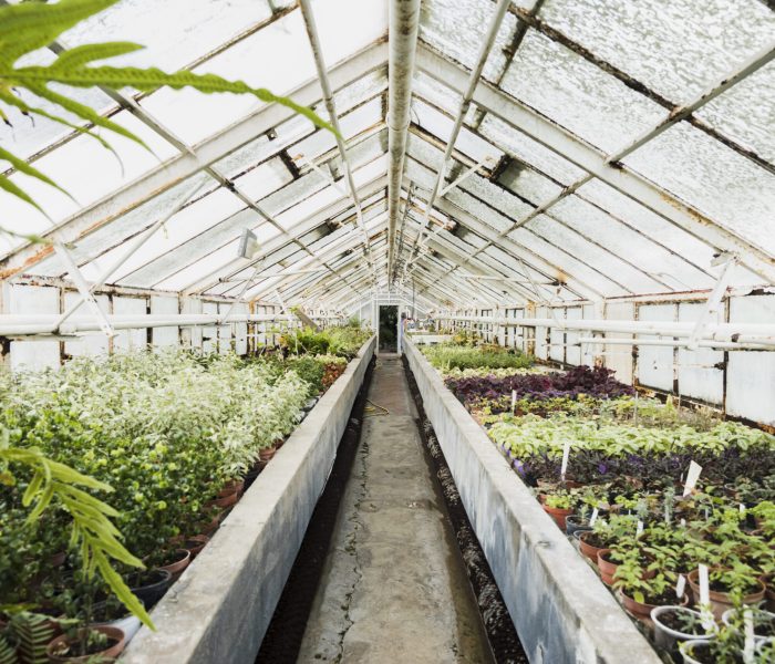 Grow house and cultivation facility